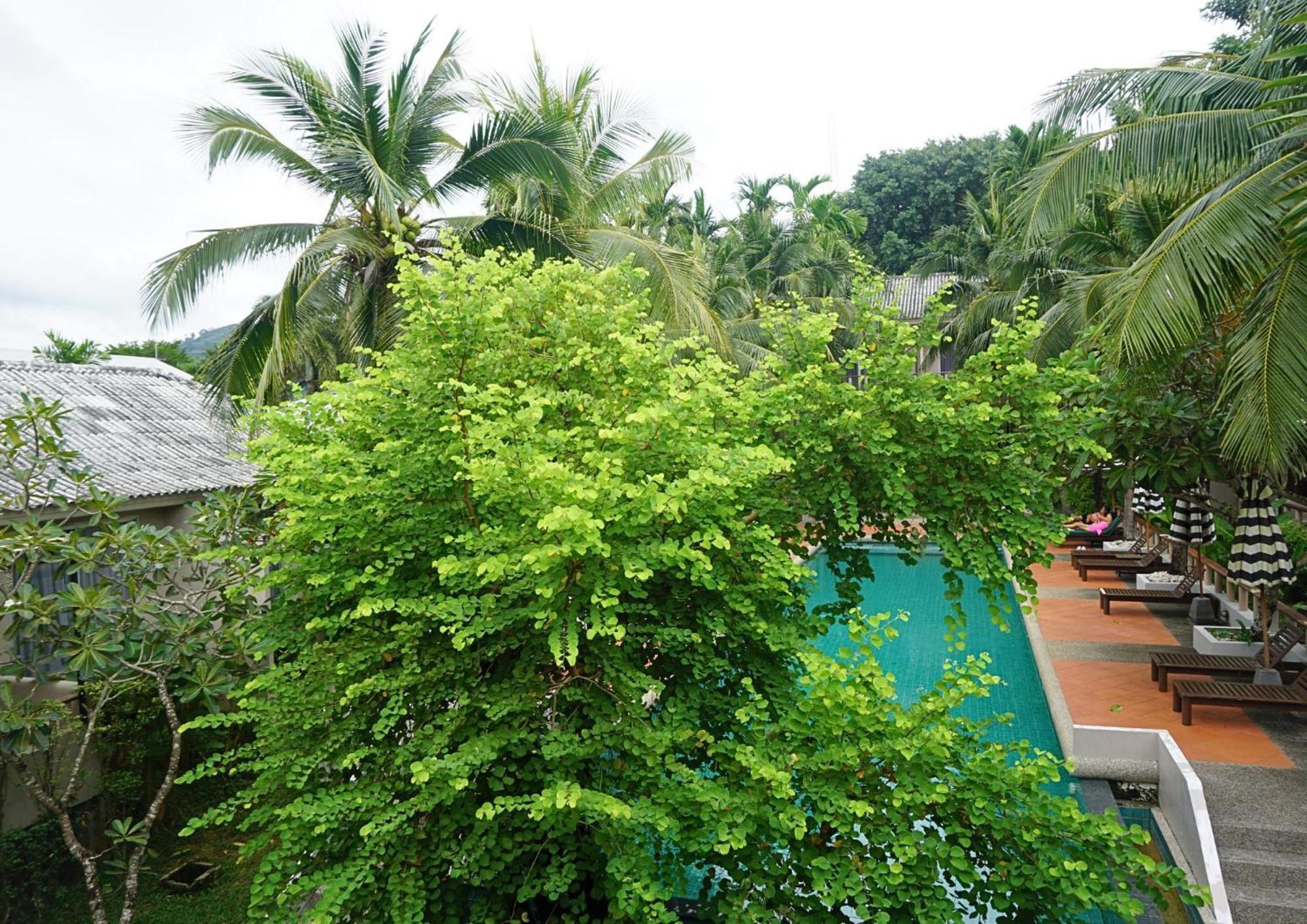 Signature Phuket Resort Chalong Bagian luar foto